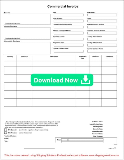 Commercial Invoice Download Now